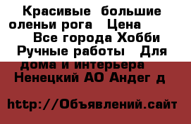 Красивые  большие оленьи рога › Цена ­ 3 000 - Все города Хобби. Ручные работы » Для дома и интерьера   . Ненецкий АО,Андег д.